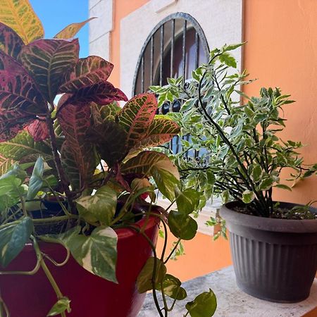 Hotel Casa Mallorca 칸쿤 외부 사진