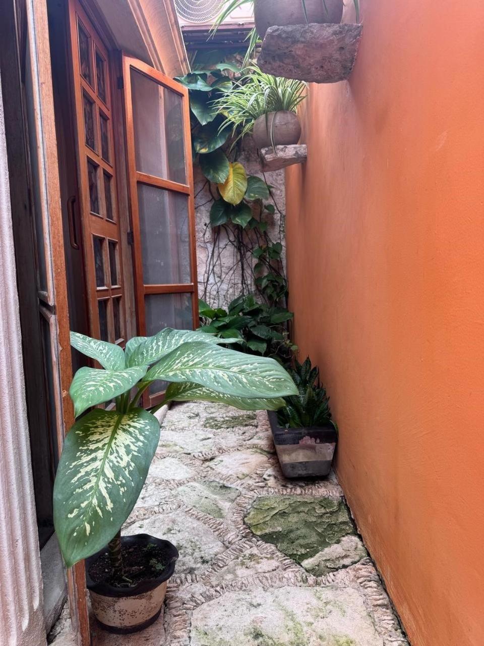 Hotel Casa Mallorca 칸쿤 외부 사진