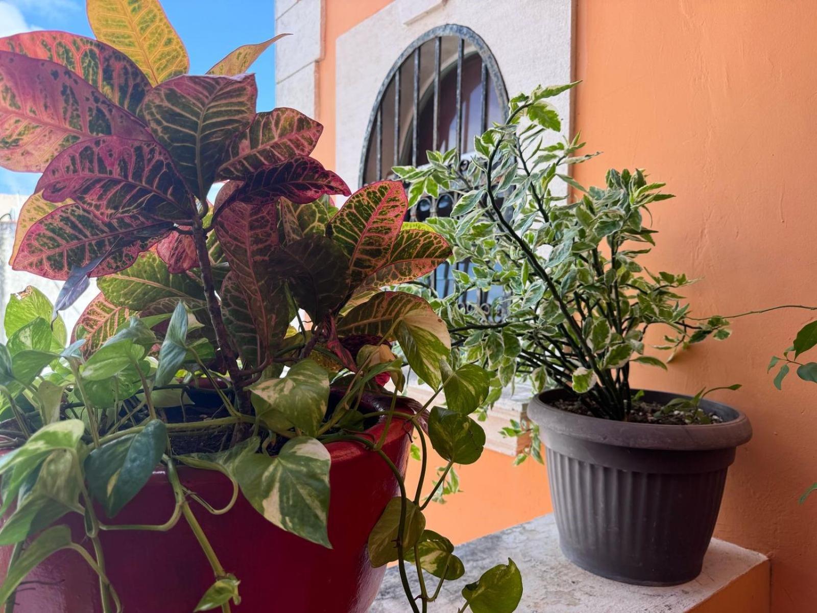 Hotel Casa Mallorca 칸쿤 외부 사진