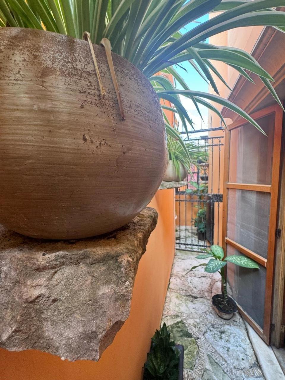 Hotel Casa Mallorca 칸쿤 외부 사진