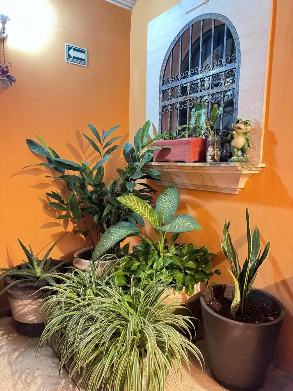 Hotel Casa Mallorca 칸쿤 외부 사진