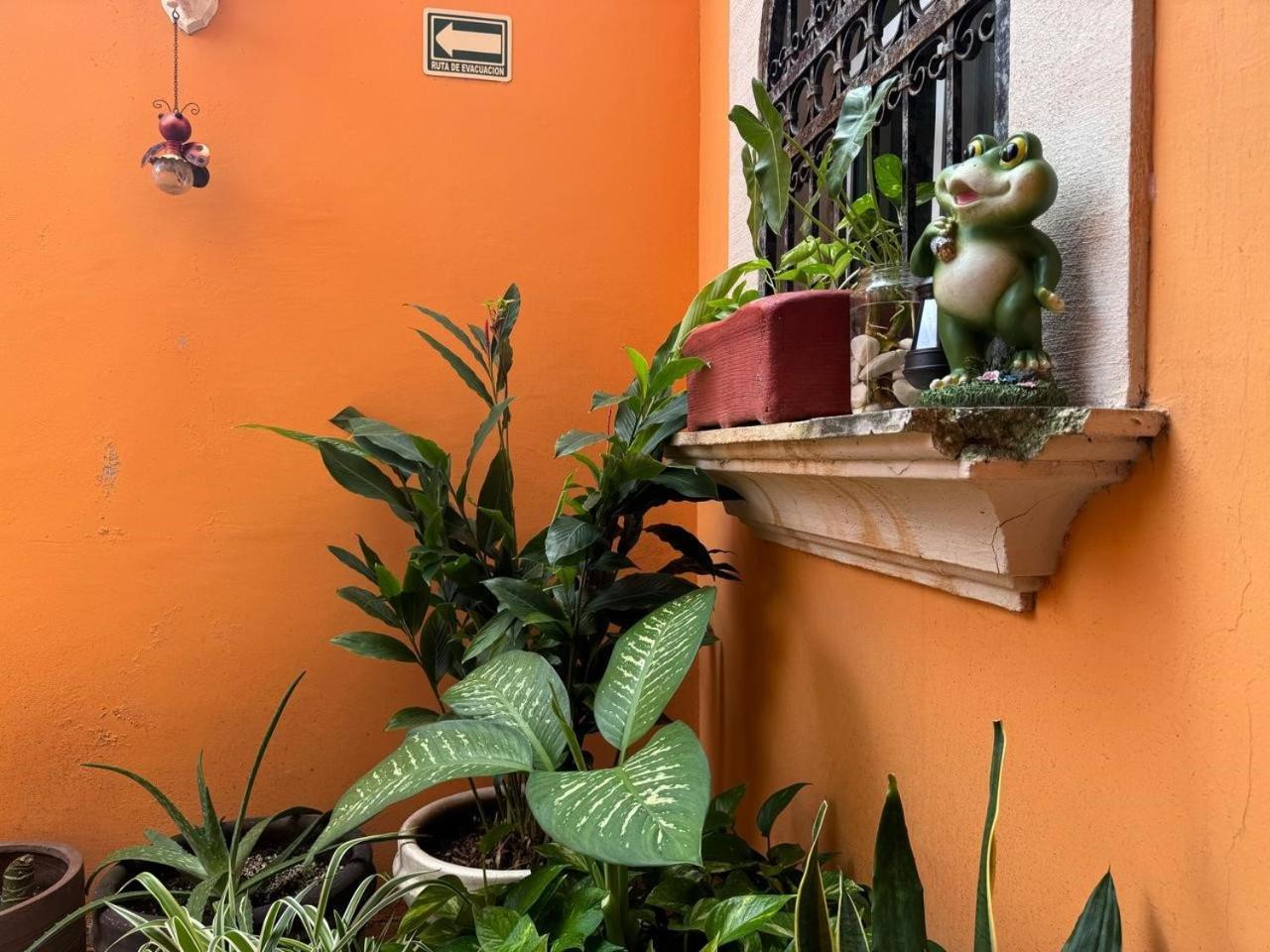 Hotel Casa Mallorca 칸쿤 외부 사진
