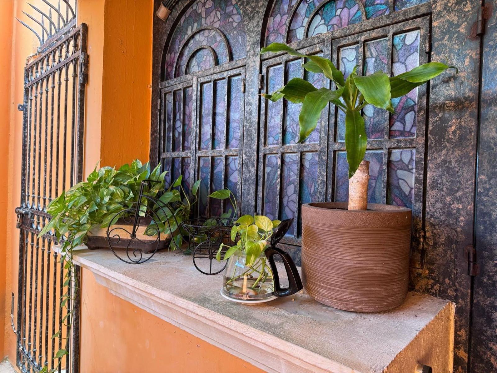 Hotel Casa Mallorca 칸쿤 외부 사진